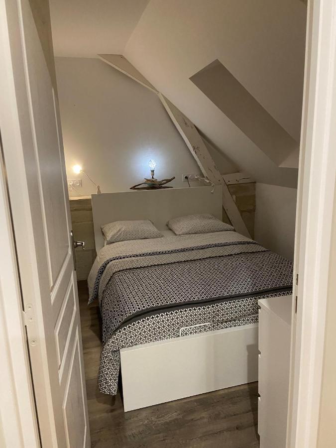 Appartement Du Chateau De La Caillerie Avoine Экстерьер фото